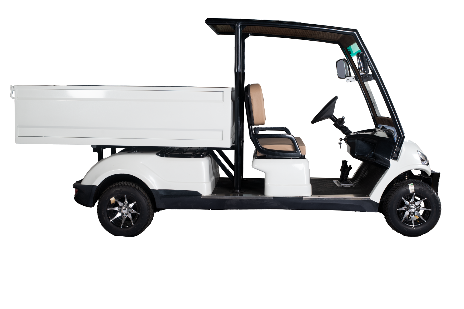2 Seater Utility Golf Cart Manufacturer in India - View 3